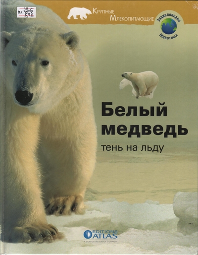 Белый медведь -тень на льду