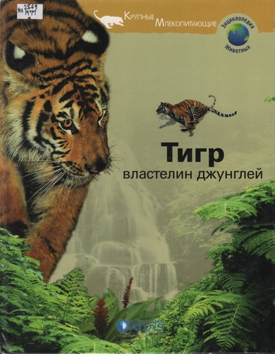 Тигр- властелин джунглей