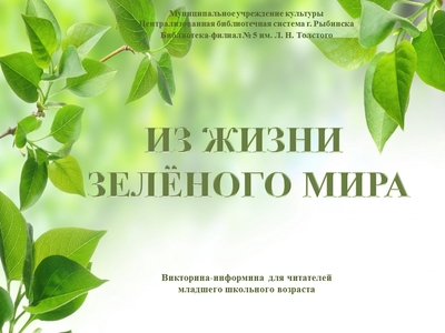 Викторина «Из жизни зелёного мира»