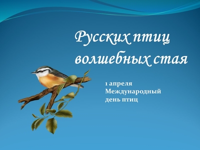 Русских птиц волшебных стая